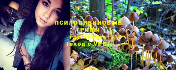 ГАЛЛЮЦИНОГЕННЫЕ ГРИБЫ Бородино
