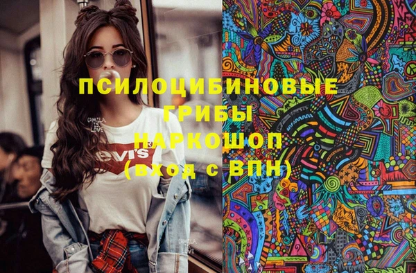 ГАЛЛЮЦИНОГЕННЫЕ ГРИБЫ Бородино