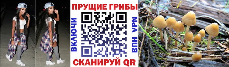 Псилоцибиновые грибы ЛСД  Губкин 